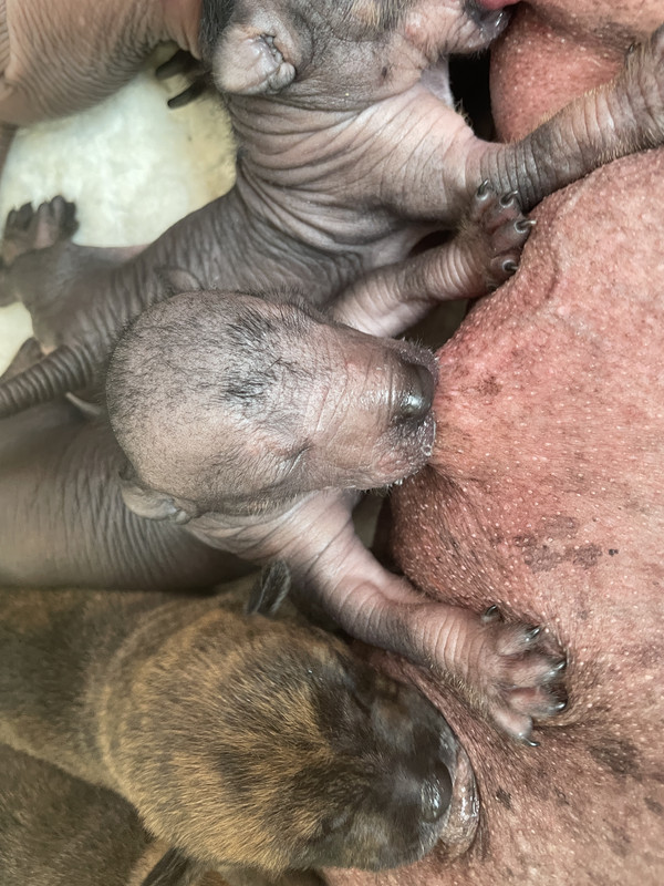 511D3249-08C3-4E9A-AD0B-E84F21A2D882