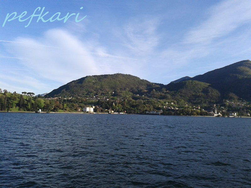 Slika