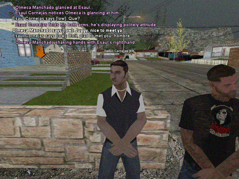 SSRoleplay303.png