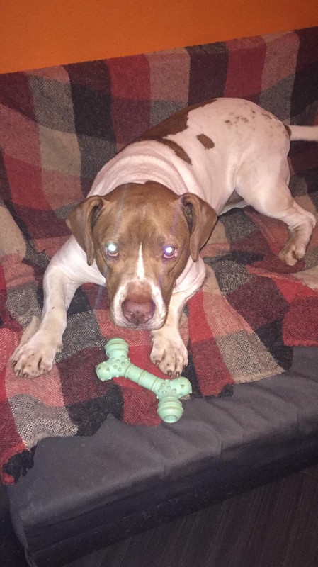 44E1FF55-0CA4-4651-B36D-36EF97134CE7