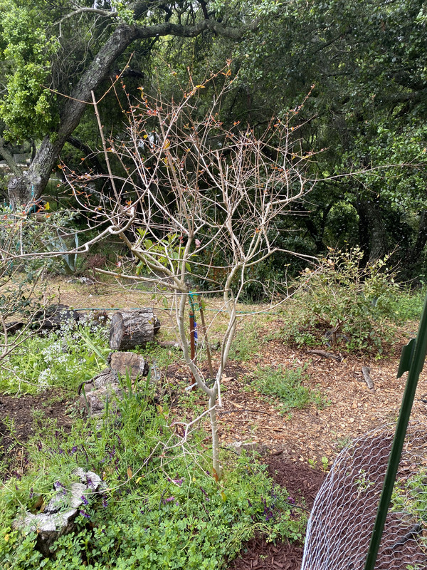 FDFC1CD3-CE42-49D8-8E62-6B5D0ADE0E99