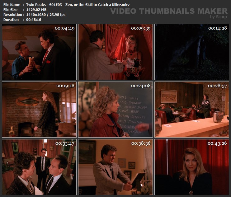 Twin Peaks - S01E03 - Zen, or the Skill to Catch a Killer.mkv