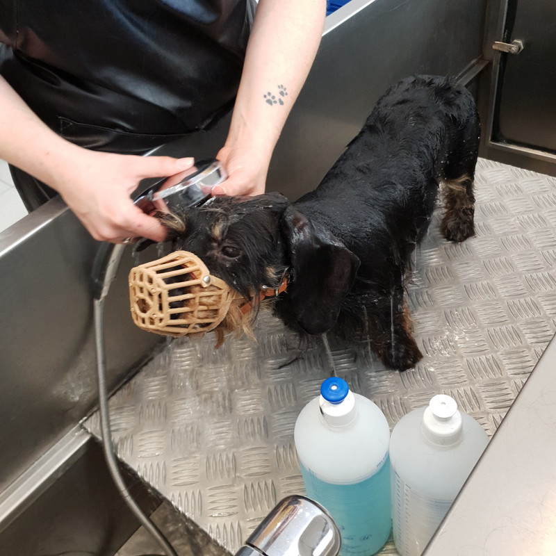 [Image: 20210709-112334.jpg]