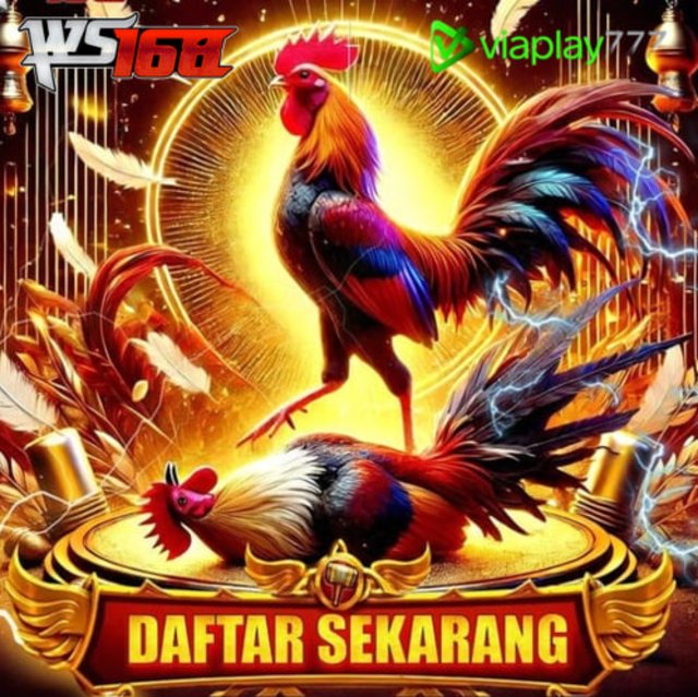 WS168 Situs Tajen Filipina Sabung Ayam Online Resmi Arena 24 Jam - WooCommerce eCommerce