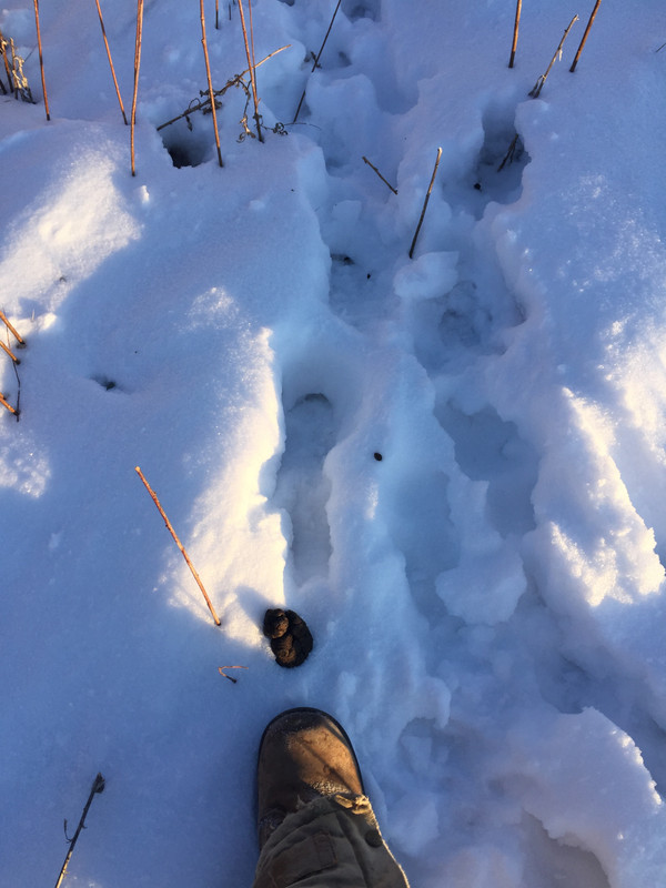 594AEC7F-5338-4AEA-984E-490C5F6C21DF