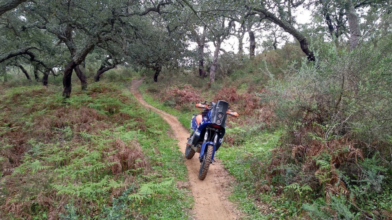 WhatsApp Image 2021-03-03 at 10.09.46