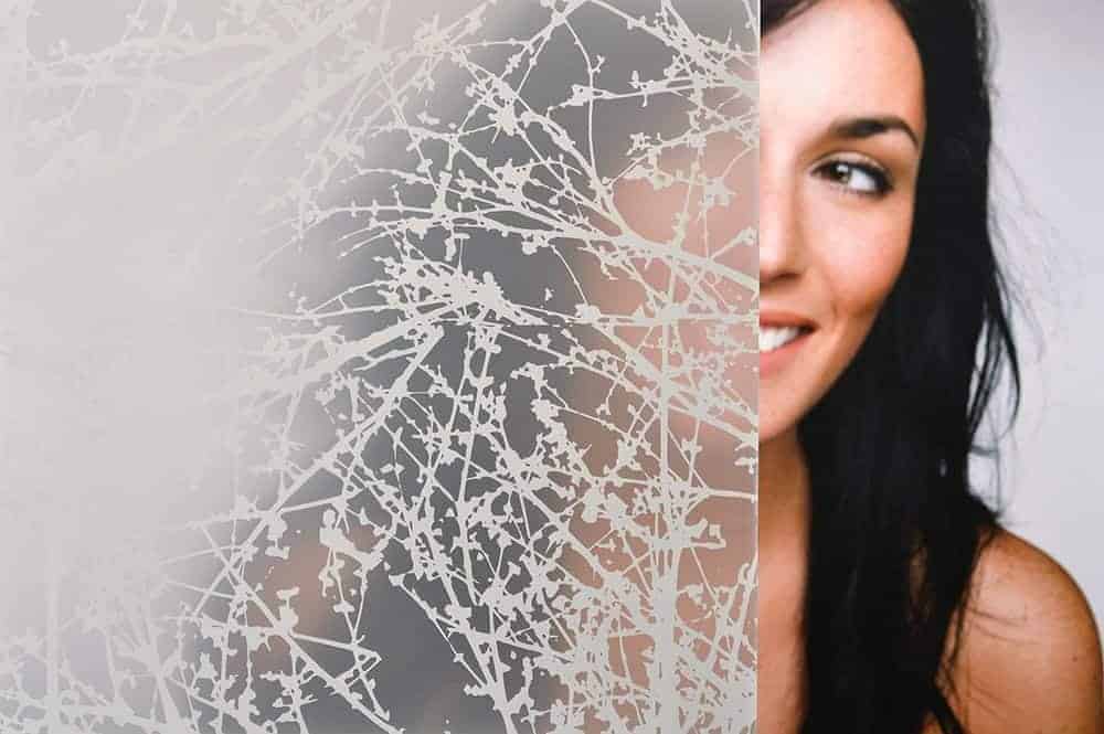 SX-5033 Matte spring buds – Textured Window Film. SX5033 Matte Spring Buds is frosted polyester that gives a transparent/translucent effect with a printed…