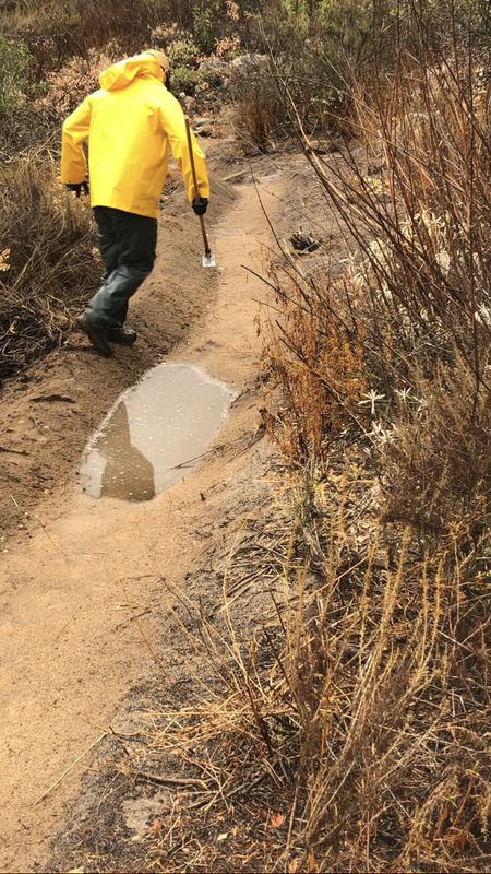 CD2FC2D0-D5AC-4BEE-80DA-1AE03D3332FD