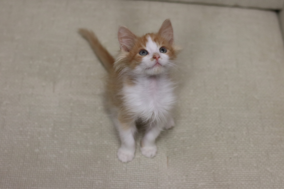 F38F80A9-69B3-491C-8E8B-65C4842CA919