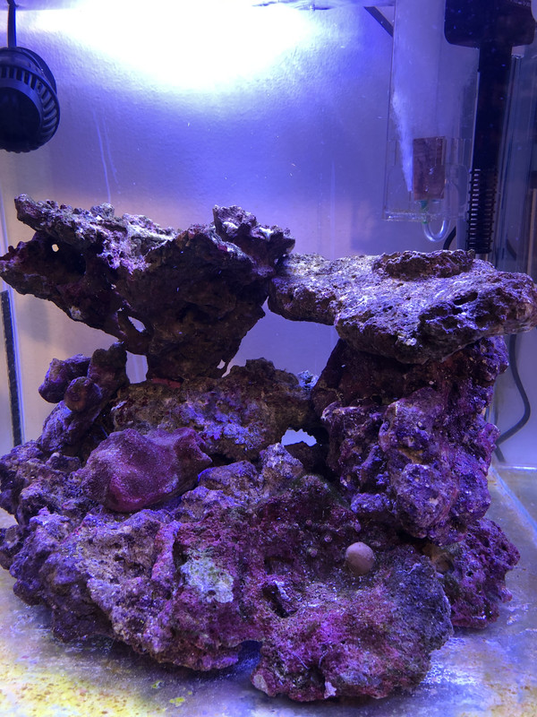 E64C5C6B-F219-4047-B304-AC71B0C0DD23