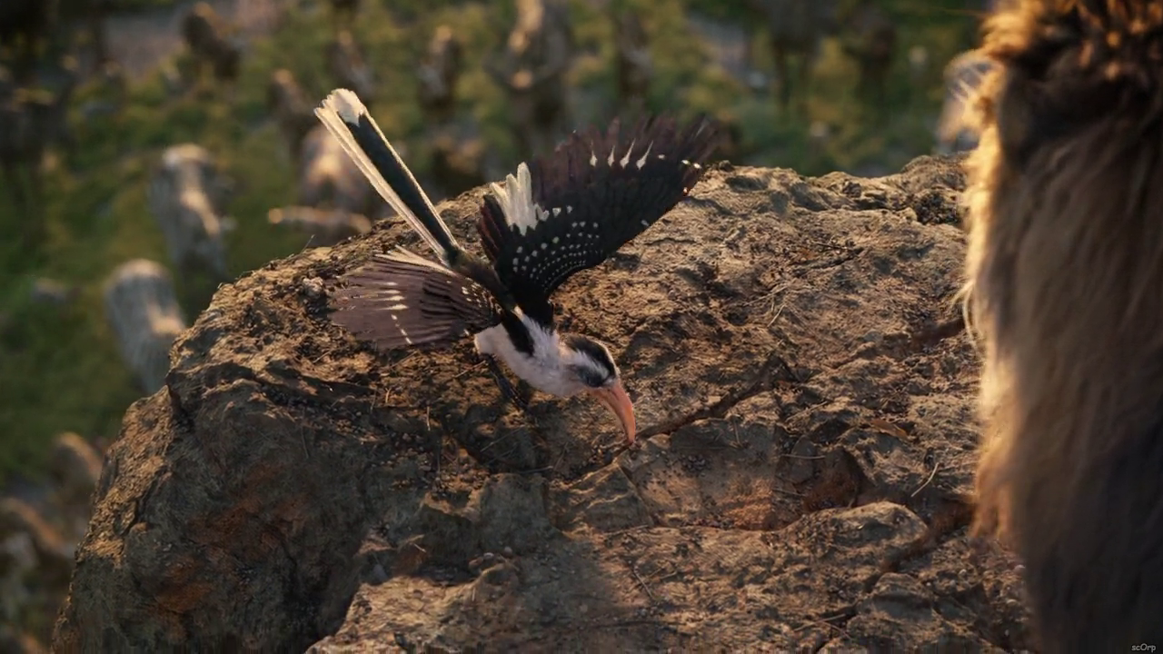 300mbunited.me--00001