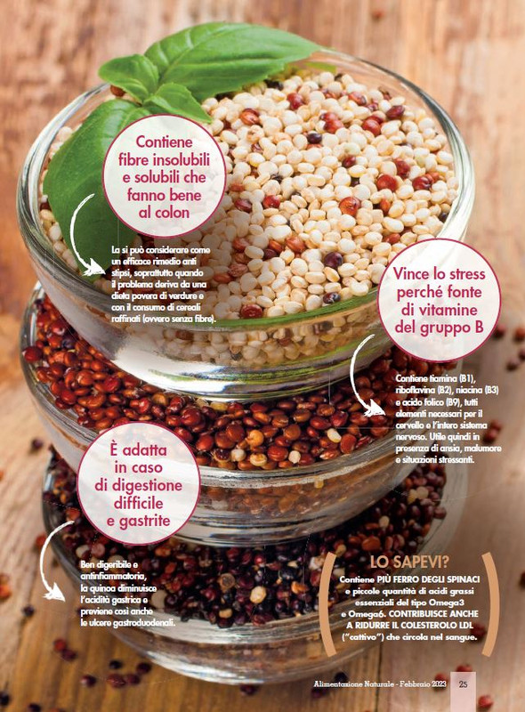 Alim Nat Feb 2023 (4)