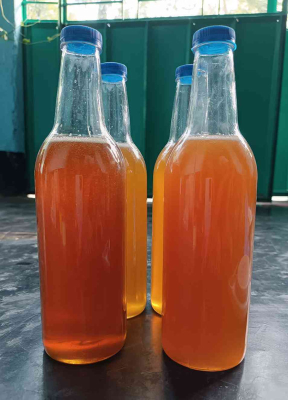 লিচু ফুলের মধু 