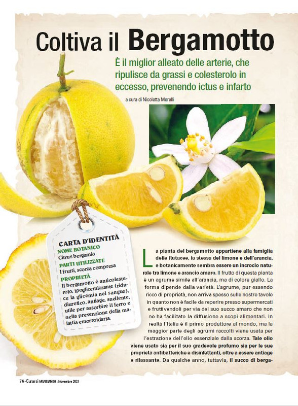 Cur Mang Nov 2021 (9)