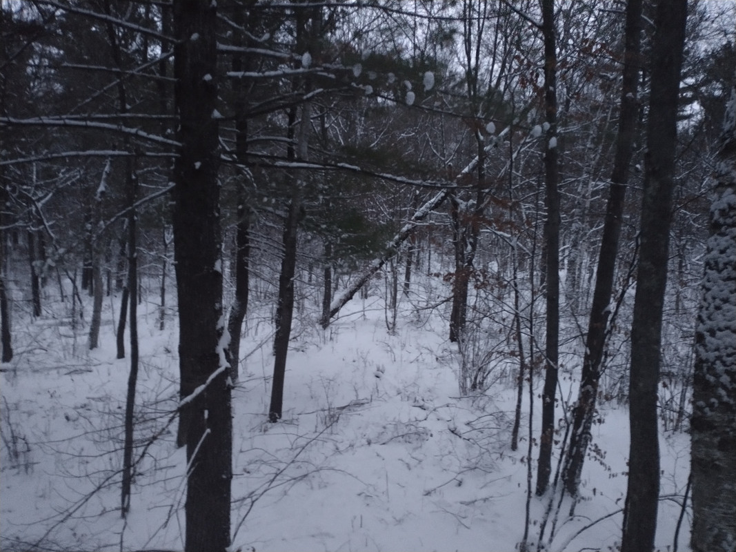 IMG_20211205_073640108