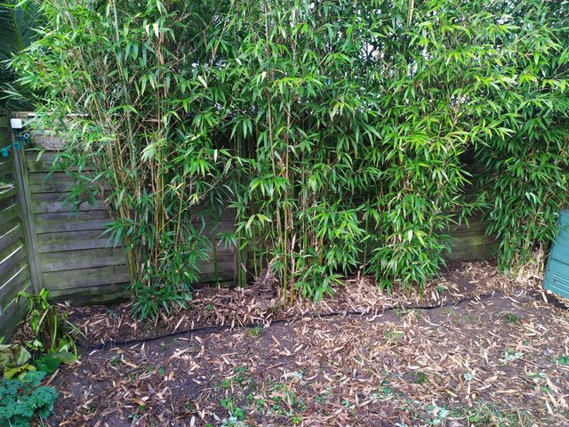 WhatsApp Image 2022-02-19 at 09.27.25(3)