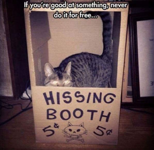 Hissing-Booth.jpg