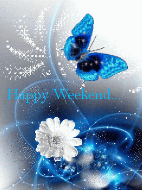 butterfly-flower-happy-weekend-2qflxfvia3s87c5m