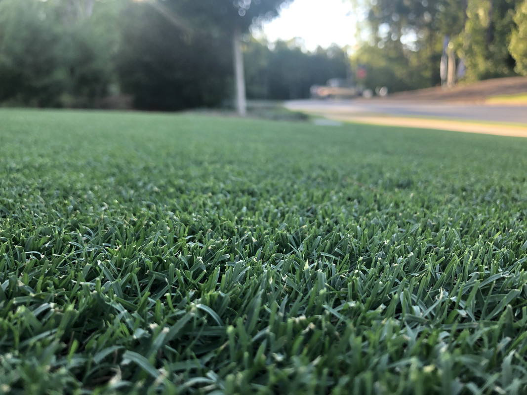 77CF8F64-2651-4B2A-9310-7306ACBE3455