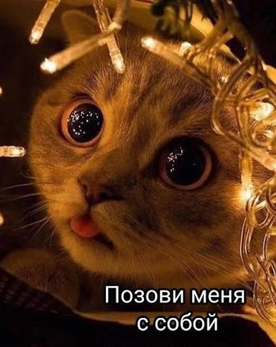 images (1)