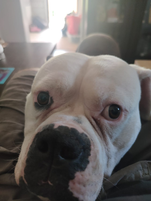 B8F3B56B-698F-491F-9BEF-481365DEF7FA