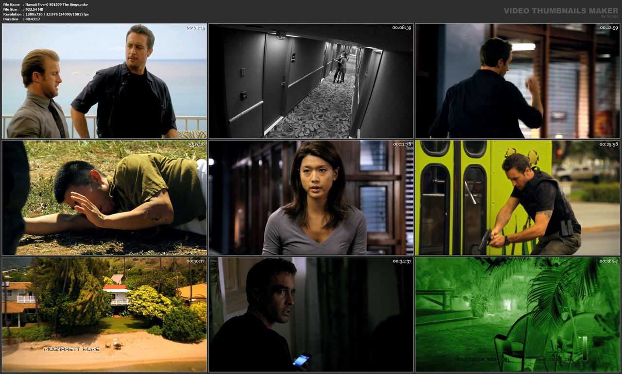 Hawaii Five-0 S01E09 The Siege.mkv