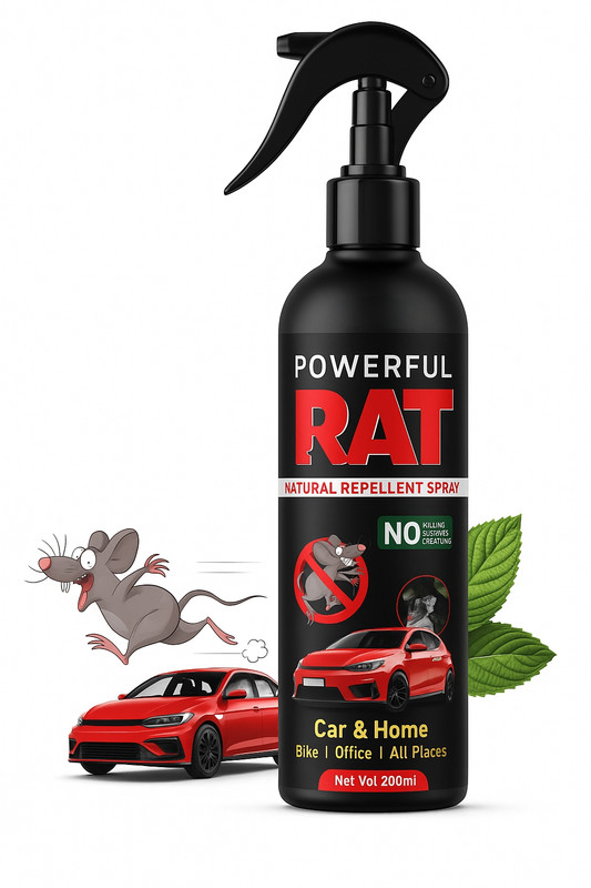 Picsart_25-10-16_17-11-18-832