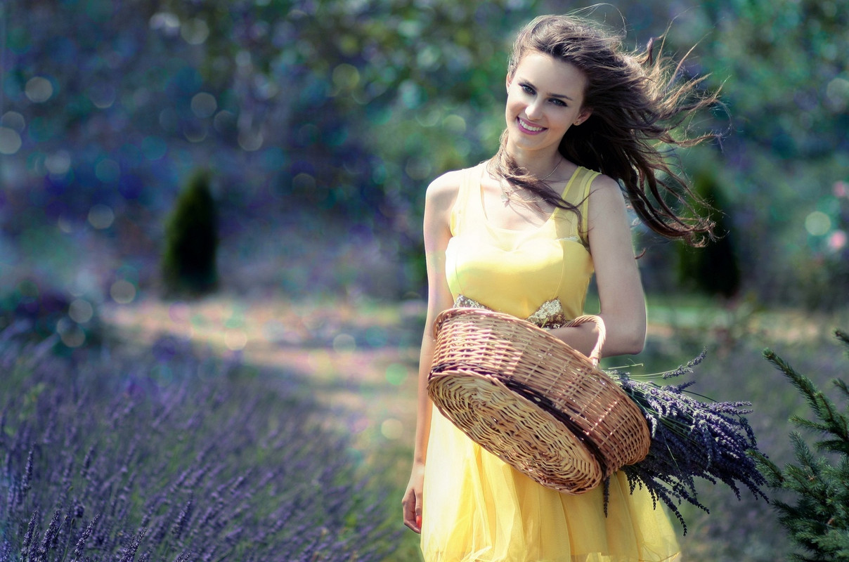 Yellowmodelgarden.jpg