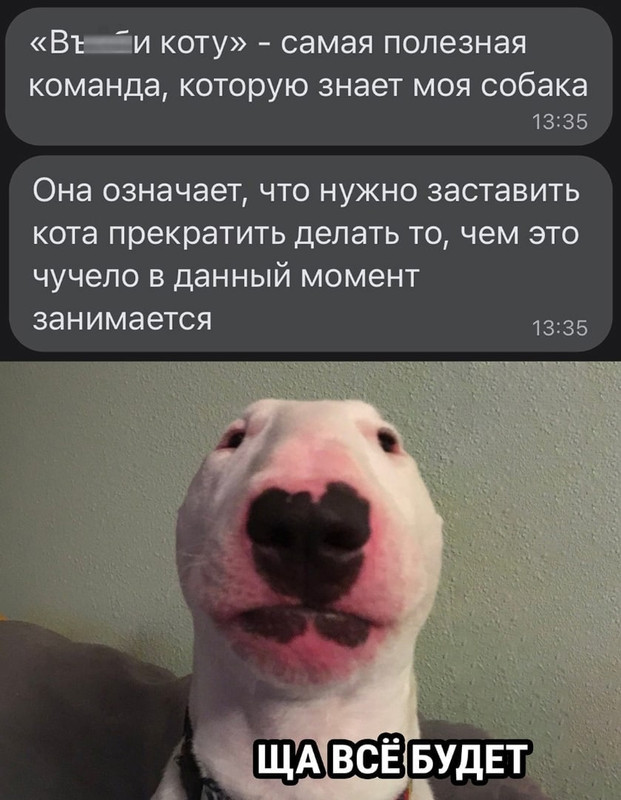 J7-lSxlnjmdgHgT5WWfllNHHT4eJXBfM0rL1MAWfhv265jOItFFffgNa8Uv0oUyW0yhWZUtOqEMwos3b1SEkMJjy