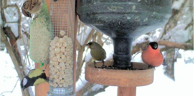 Képernyőkép – 2019-01-28 10-48-08