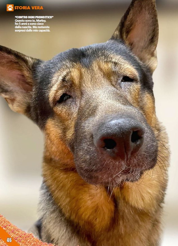 Foc Wil - Feb 2024 (9)