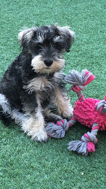 D56E6BFE-CA24-4AED-9705-F5A6F734DACD