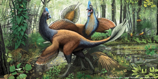 image-14-1050x525.png