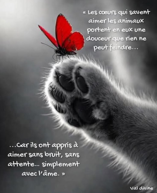 3d23581b8c8b5f77f0d846ce1c10d452