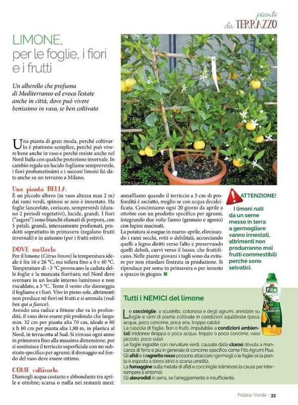 Pol Ver Lug 2021 (6)