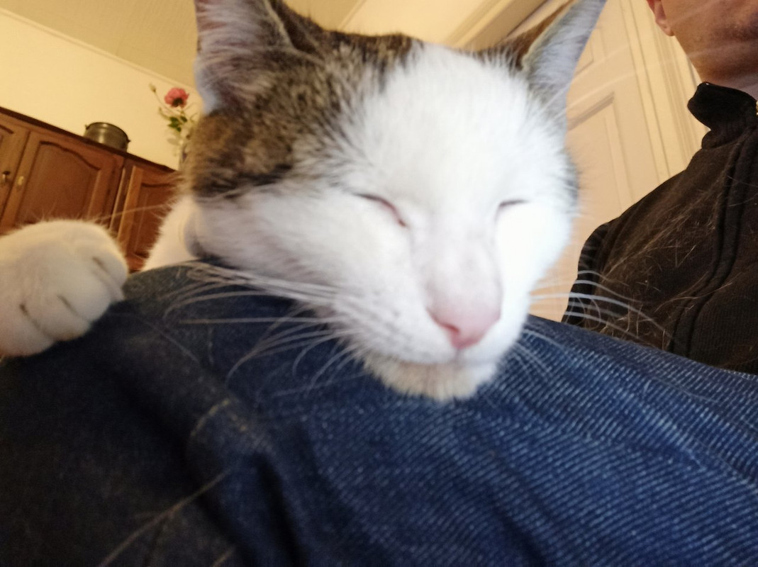 https://i.postimg.cc/d3c56JRg/IMG-20210313-201846.jpg