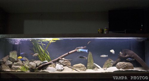 malawi (FILEminimizer)