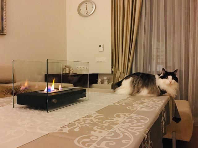 6-CD743-AA-DD96-47-D7-8-A29-A5-DE709-BF5