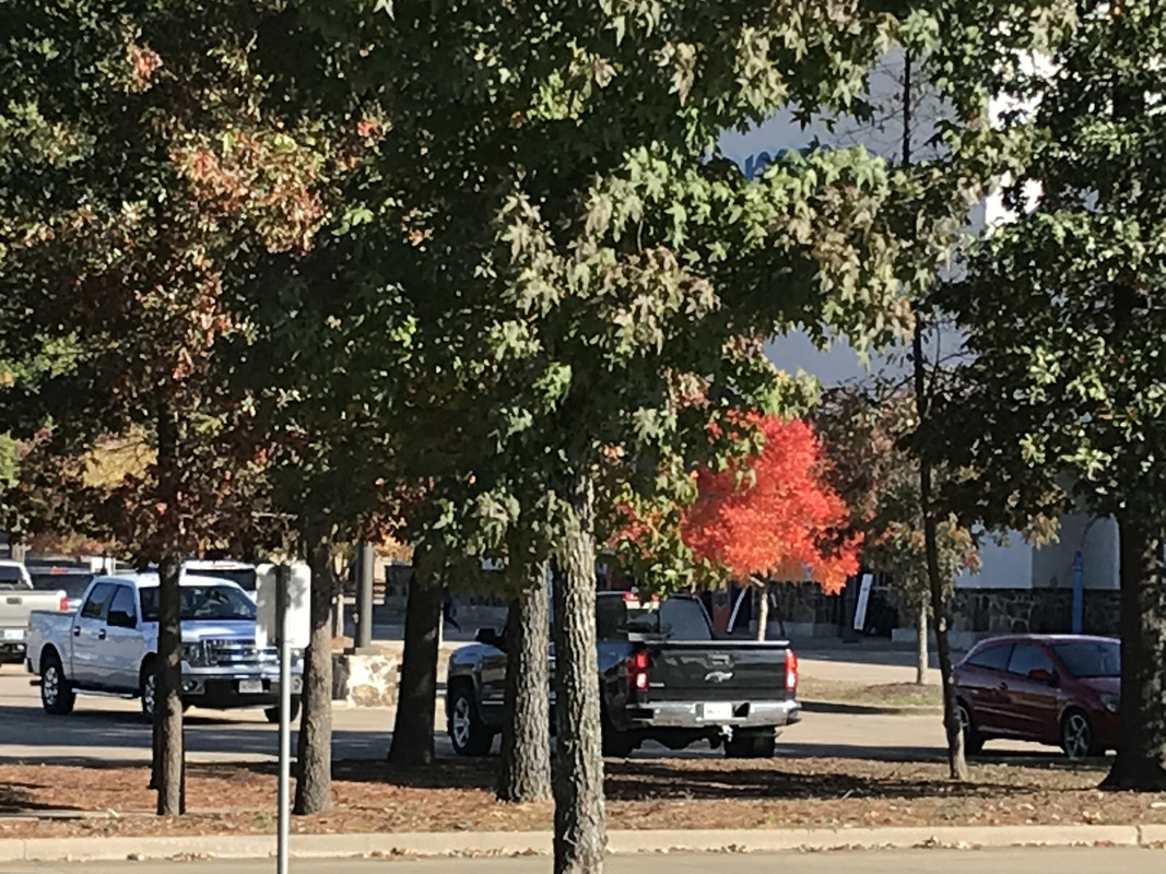 453BEC3C-A3DB-4C96-9564-E5F2E716CCD8