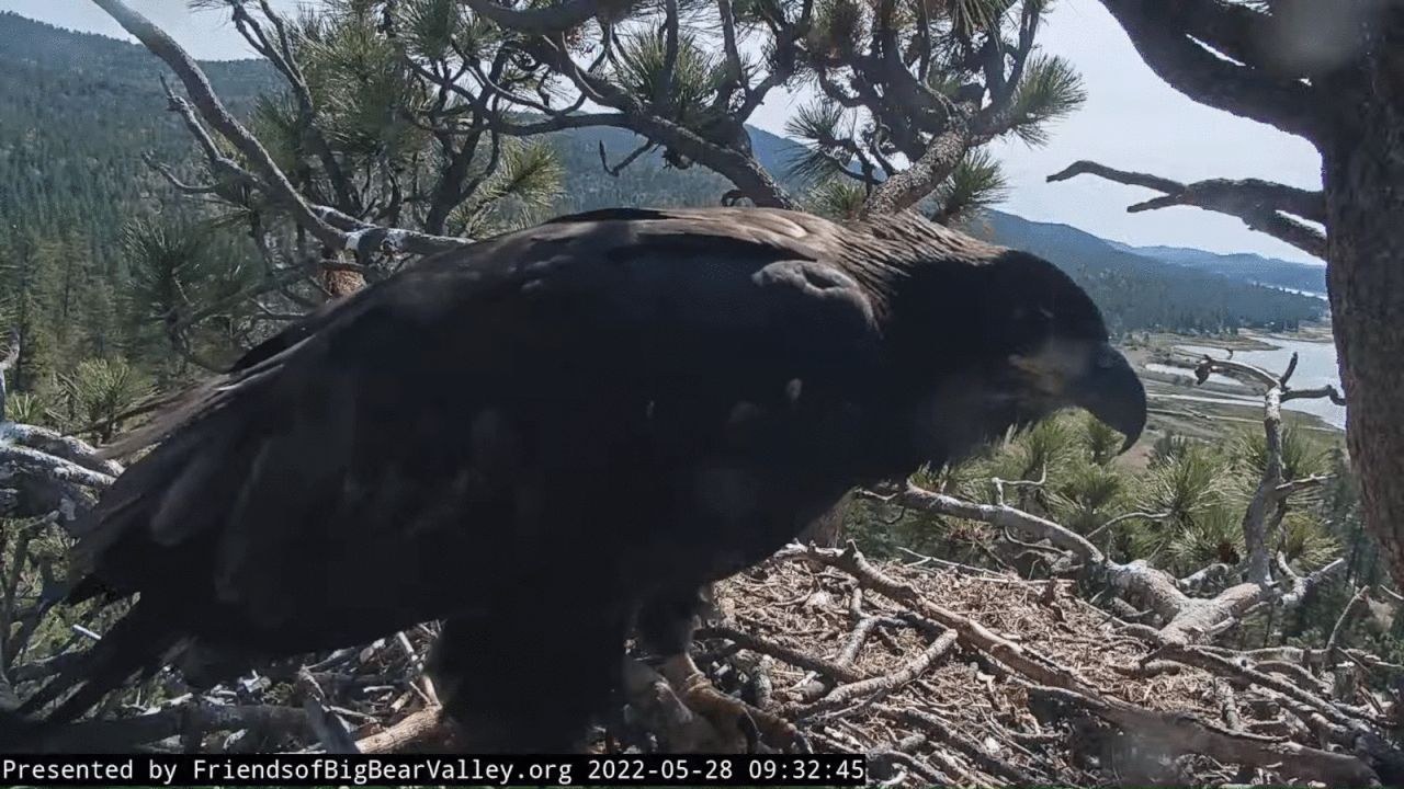 Webp.net-gifmaker (4)