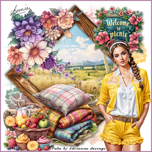 Welcom-to-picnic