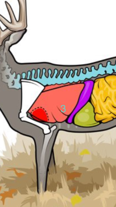 ABD9EA5D-6831-4C60-9D4D-DC4CDDFB45D8