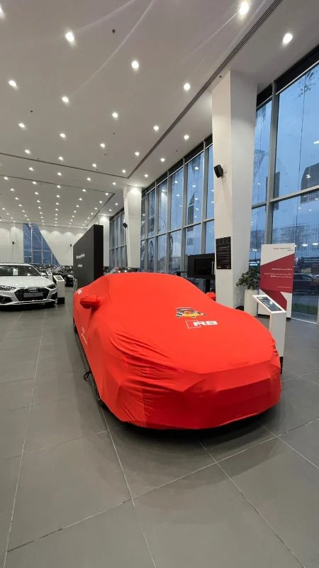 Audi R8 Indoor Classic Cover