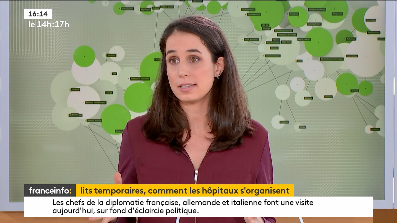 03.25 - 12.59.00 - Le 14h-17h. Au sommaire   Vrai ou fake. - francein..._001.ts_snapshot_00.55.56.21