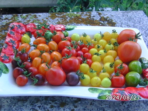 [Bild: BILD0369.jpg]