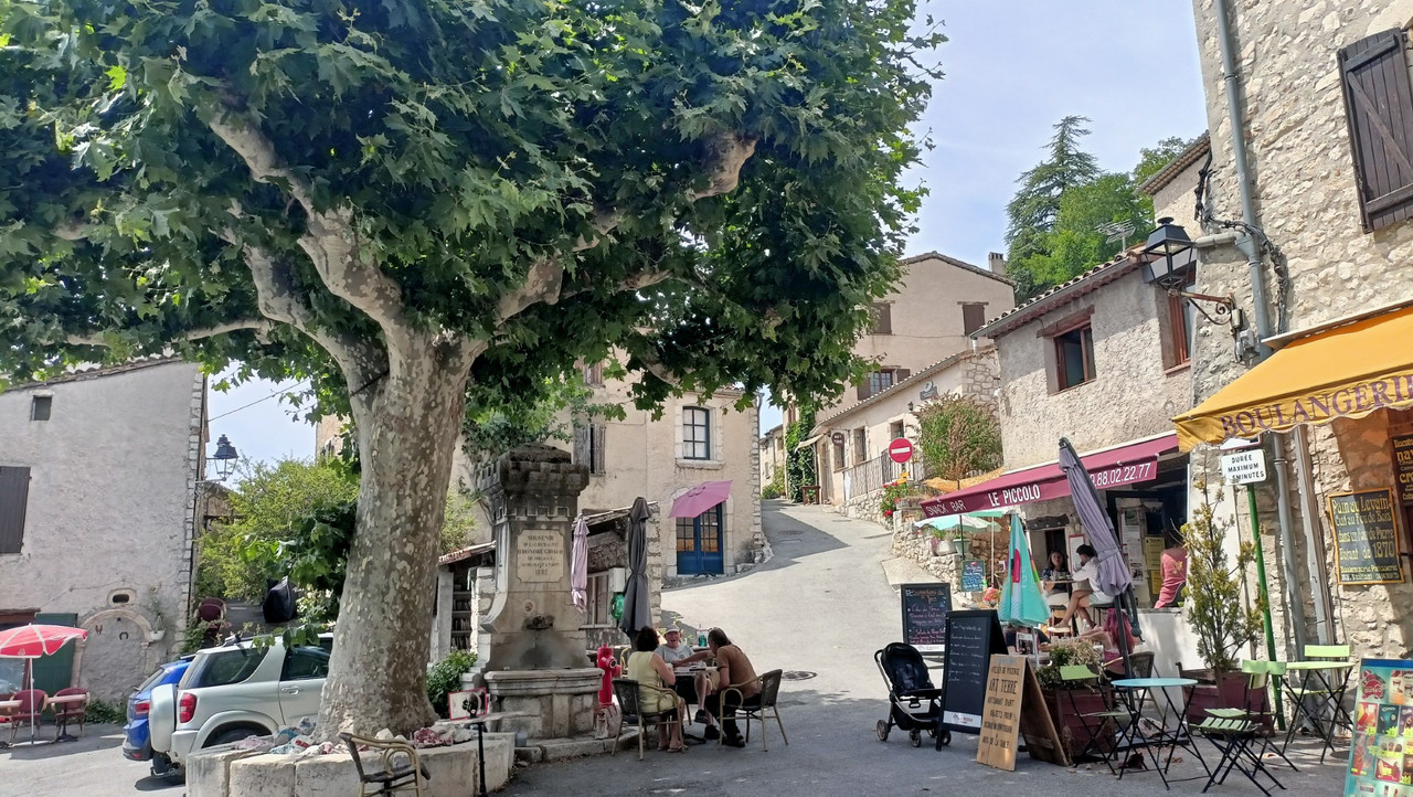 IMG20250804141256 (Large)