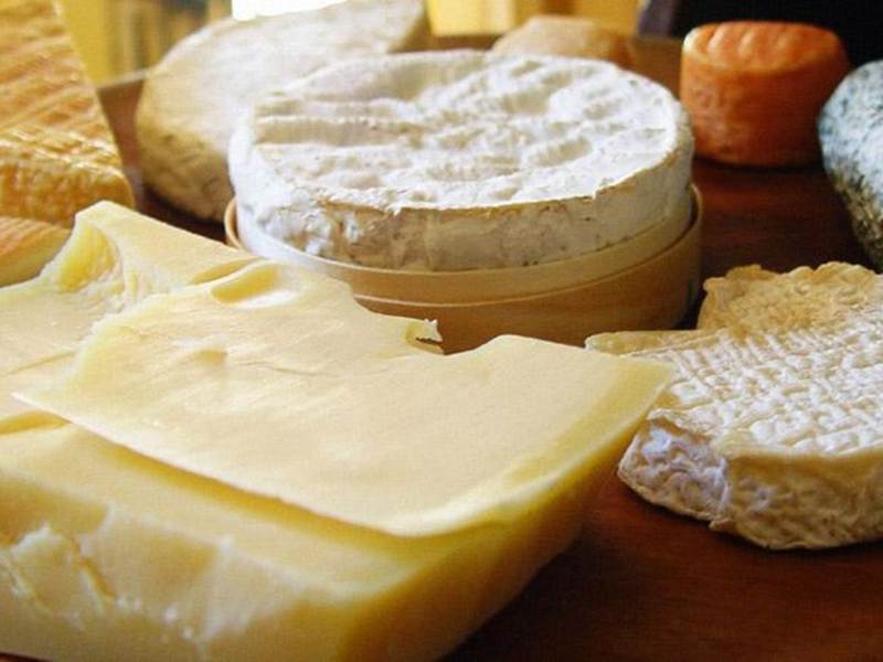 Scoperta Scientifica: la casomorfina nel formaggio crea dipendenza