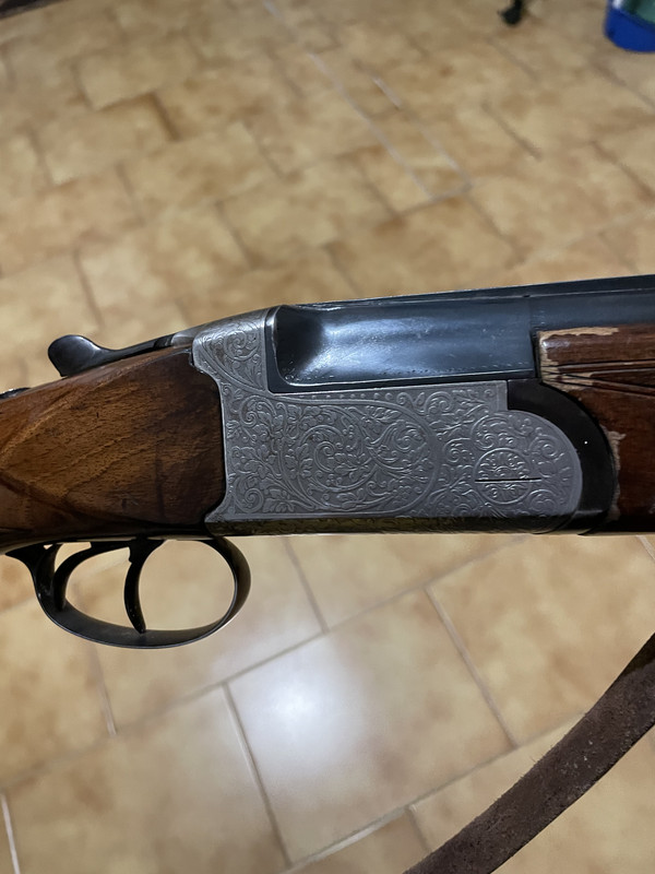 5723A5CB-1584-4F1E-AA21-9F474589ED2B