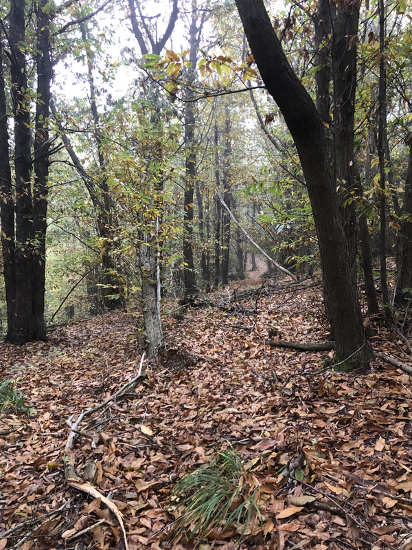 7D0BEE52-E53B-4730-B8A3-CB43B408658E