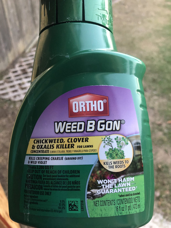 16497378-0381-443E-BBB3-8009676A59E5